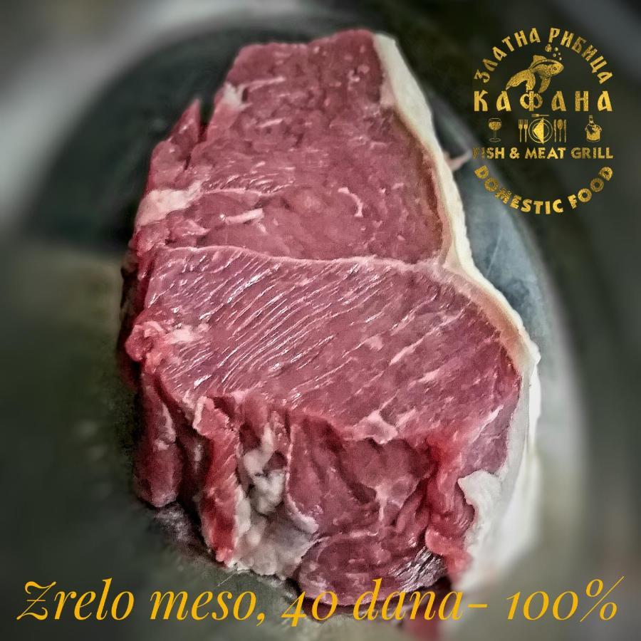 شقة Zlatna Ribica جولوباك المظهر الخارجي الصورة